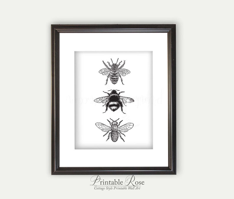 Bee Decor, printable, bee decorations, bee print, bee wall art, bee wall decor, art prints, wall art prints, vintage, wall art printable image 6