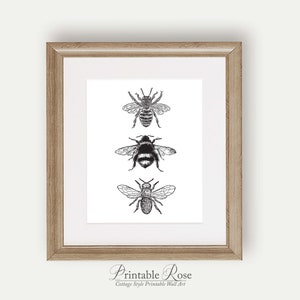 Bee Decor, printable, bee decorations, bee print, bee wall art, bee wall decor, art prints, wall art prints, vintage, wall art printable image 7