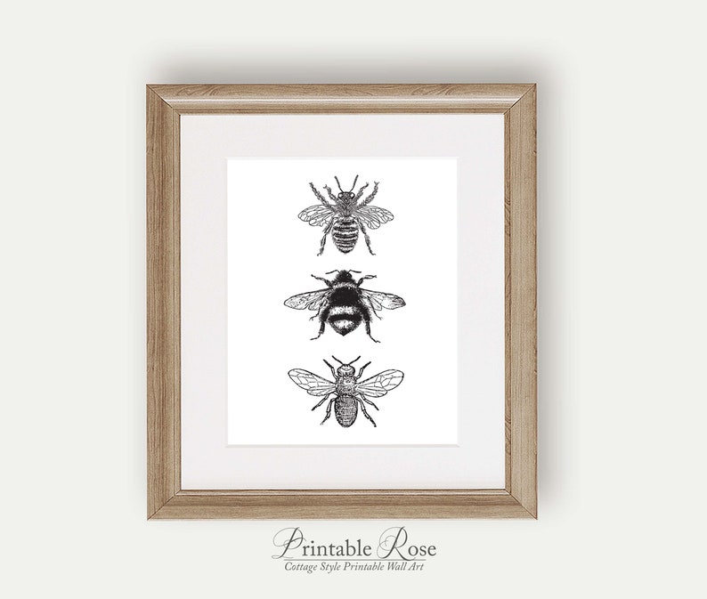 Bee Decor, printable, bee decorations, bee print, bee wall art, bee wall decor, art prints, wall art prints, vintage, wall art printable image 7