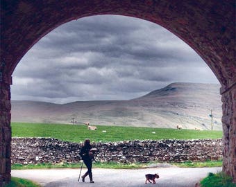 A Native Breed. Starting a Lake District hill farm