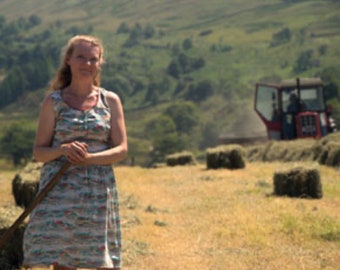 Four Seasons on a Westmorland Farm by Andrea Meanwell
