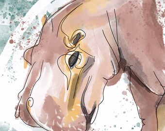 Herbivore Safari: Hippo