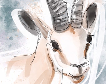 Herbivore Safari: Antelope