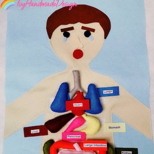Anatomie lichaam Vilten speelkleed/Gezicht voelen/Emotie/Etiketten orgel/Flannelen bordorgels/Medische speelset/Mijn lichaam/Wetenschap/Montessori/menselijk lichaam/