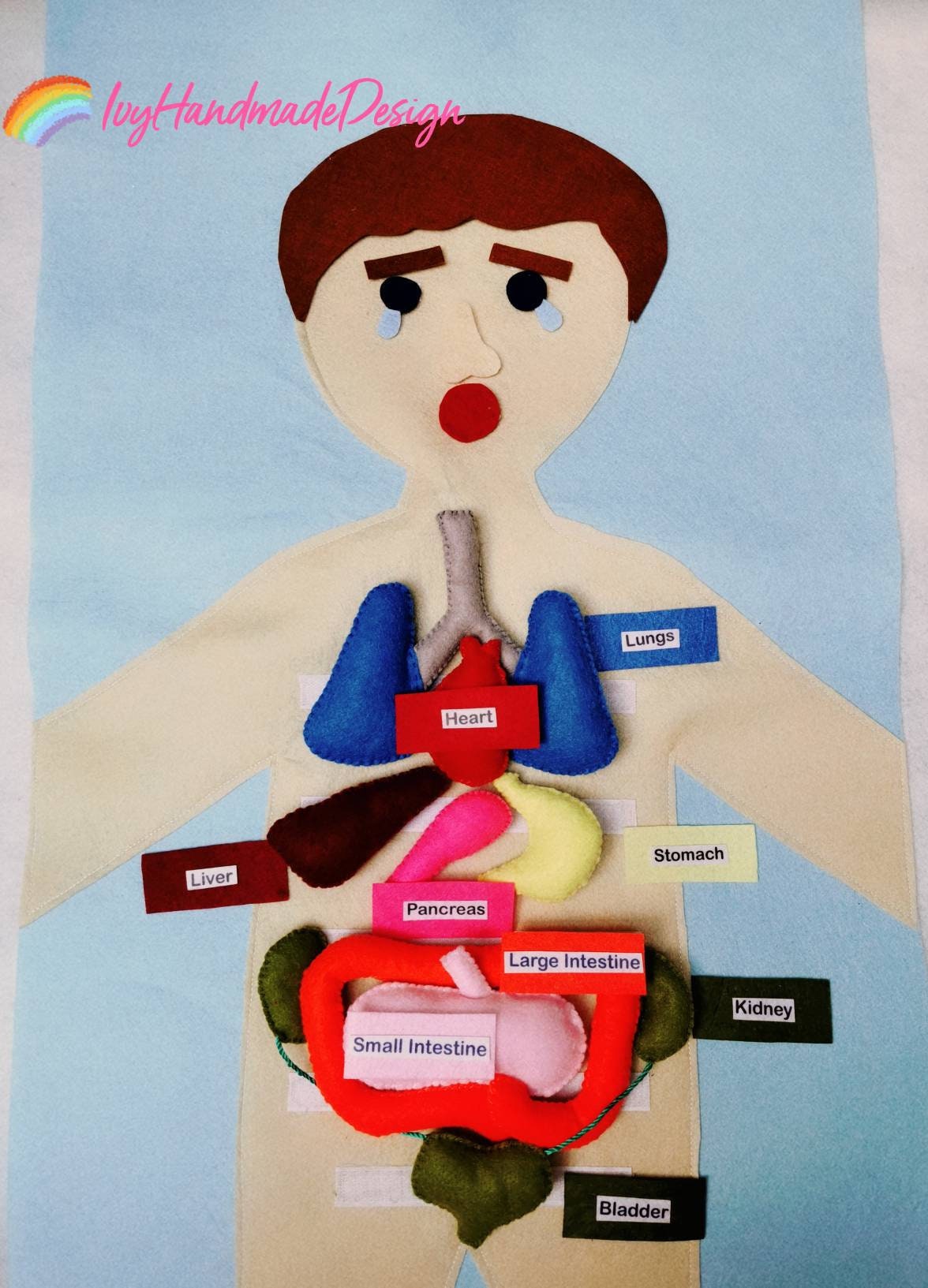 Anatomy body Felt play mat/Feeling Face/Emotion/Organ Labels/Flannel Board organs/Medical Play Set/My Body/Science/Montessori/human body/