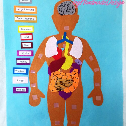 Human Felt Body Etsy