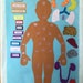 Anatomy/skeleton/organ Felt With Labels/flannel Board/my Body/science ...