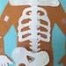 Anatomy/skeleton/organ Felt With Labels/flannel Board/my Body/science ...