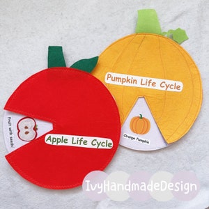 Lebenszyklus von Apfel Filzset / Kürbis Lebenszyklus Flanellbrett / Kognitives Lernen / Wissenschaft / Natur / Lehrerressourcen / Montessori / Vorschule / ECE