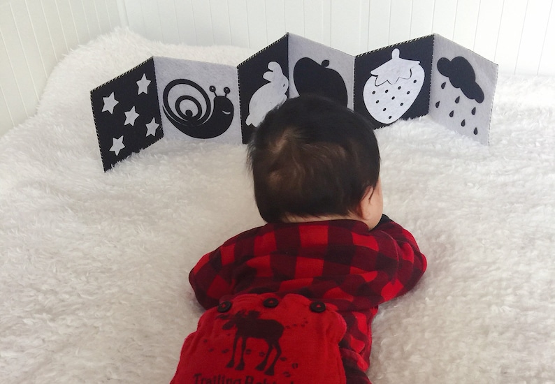 First Soft Book/black White/monochrome/buggy Book/felt Etsy Canada