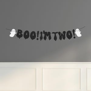 BOO I&#39;m Two Banner. Halloween Birthday Banner, Second Birthday, Ghost Banner