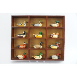 May include: A wooden display case with twelve compartments, each holding a hand-painted duck figurine. The ducks feature various colors and patterns, including yellow, green, red, and black. The case is made of dark brown wood.