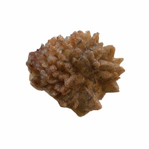 Dog Tooth Calcite Specimen - Chihuahua, Mexico - 90g