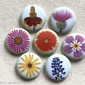 Pin Buttons / Magnets 1&quot; - Texas Wildflowers