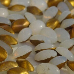 Può includere: Una collezione di perline di vetro ovali di colore bianco e dorato. Le perline sono sparse su una superficie bianca.
