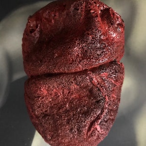 Film, Halloween, Horror Foam Prop Heart, Dark Art, Oddities