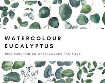 Eucalyptus bladeren aquarel Clip Art digitale afbeeldingen 600dpi png Australische inheemse Green Leaves bruiloft Scrapbooking