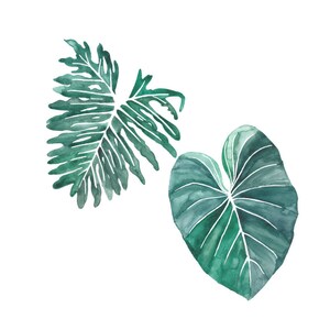 May include: Two watercolor illustrations of tropical leaves. The leaves are green and have a white outline. The leaves are isolated on a white background.