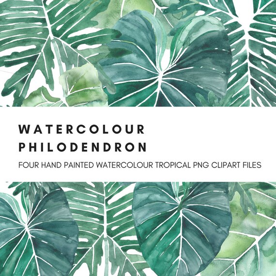 Philodendron Leaves Watercolor Clip Art Digital Graphics 600dpi png Satin Leaf Tropical Green Leaves Wedding Scrapbooking