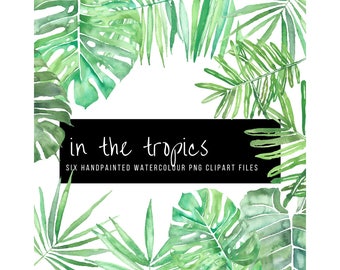 NIEUWE tropische verlaat aquarel Clip Art digitale afbeeldingen 600dpi png Monstera Deliciosa Palm Philodendron Green Leaves bruiloft Scrapbooking