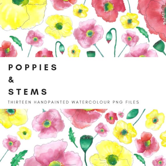 Poppies Watercolor Clip Art Digital Graphics 300dpi Png Files Etsy