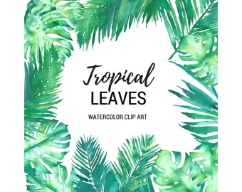 Tropische verlaat aquarel Clip Art digitale afbeeldingen 300dpi png Monstera Deliciosa Palm palmen Fronds Green Leaves bruiloft Scrapbooking