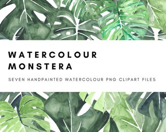 Monstera verlaat aquarel Clip Art digitale afbeeldingen 600dpi png Monstera Deliciosa tropische groen laat bruiloft Scrapbooking