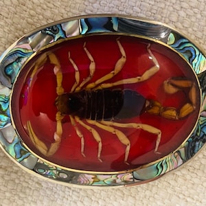 Vintage Mexico Silver Alpaca Belt Buckle w/ Genuine Scorpion & Abalone Seashell image 1