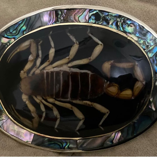 Vintage Mexico Silver Alpaca Belt Buckle w/ Genuine Scorpion & Abalone Seashell