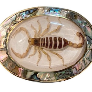 Vintage Mexico Silver Alpaca Belt Buckle w/ Genuine Scorpion & Abalone Seashell