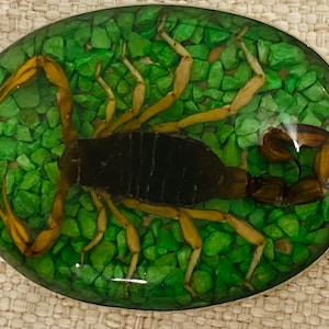 Vintage Mexico Silver Alpaca Belt Buckle w/ Genuine Scorpion