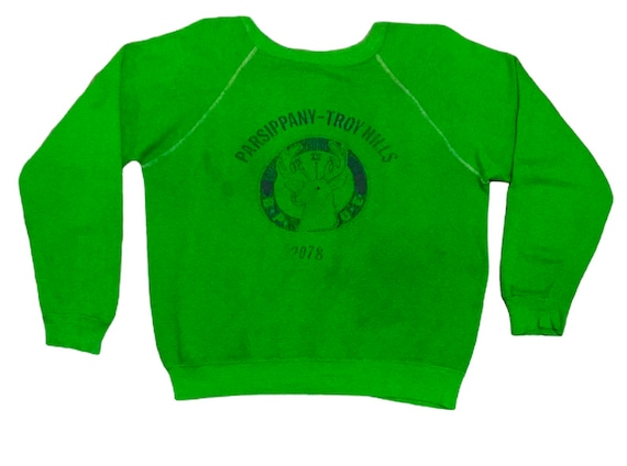 Rare Design Vintage School Parsippany Troys Hills