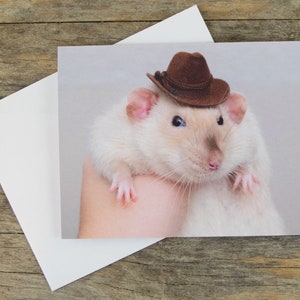 Salut cowboy rat meme carte de vœux | Cadeaux pour rats de compagnie | Maman rat | Papa rat | Amoureux des petits animaux | Propriétaire de rats |  Drôle | Souris mignonne | Bonjour les cartes
