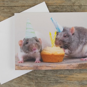 Biglietto d'auguri con simpatico topo - "Buon compleanno! Buona giornata!"
