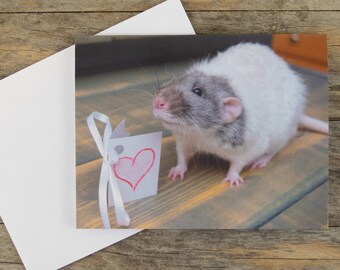 Peut inclure: Un rat blanc et gris avec des oreilles et un nez roses est assis sur une surface en bois. Le rat regarde une étiquette blanche avec un cœur rose dessiné dessus. L'étiquette est attachée à un ruban blanc.