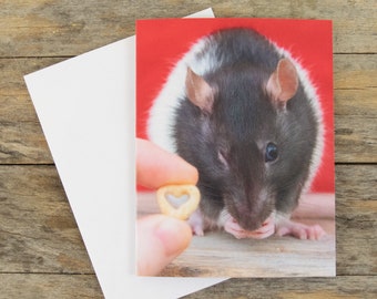 Peut inclure: Un rat noir et blanc avec un nez rose fait un clin d'œil à la caméra. Le rat tient un céréale en forme de cœur dans sa bouche. Une main tient un céréale en forme de cœur devant le rat.