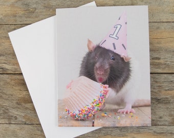 Peut inclure: Un rat noir et blanc portant un chapeau de fête rose avec le chiffre "1" dessus, tenant un cupcake au glaçage rose et aux pépites colorées.