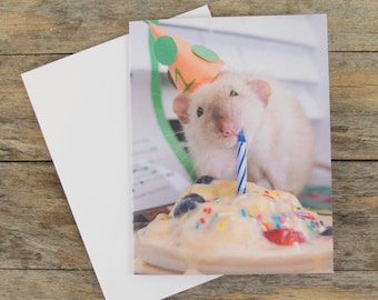 Cute Rat Birthday Card - "Happy Birthday - time to dig in!"