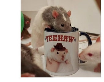 Yeehaw Cowboy Rat Meme Coffee Mug | Funny Pet Rat Lover Gift - Etsy