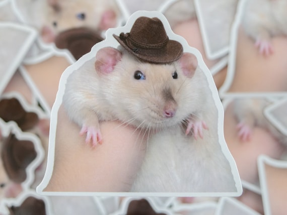 Yeehaw Cowboy Rat Meme Sticker | Pet Rat Gifts | Rat Mom | Rat Dad | Small Animal Lover | Rat Owner |  Funny Stickers | Cute Mouse | Western