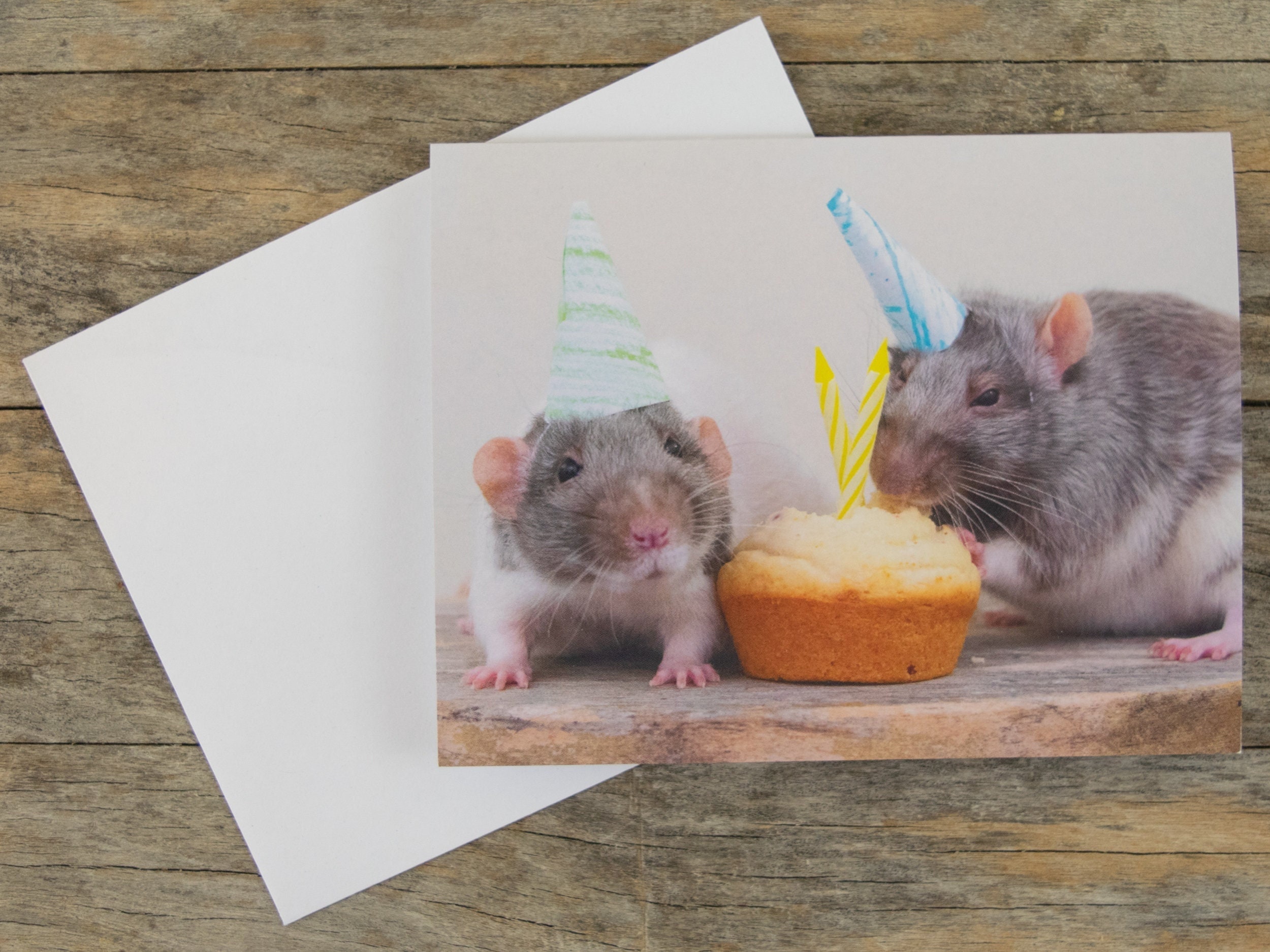 Biglietto Di Invo Compleanno. Piccoli Personaggi Divertenti Delle Celebrazioni Dei Topi Ragazzi Festeggiano Il Cartello Un Image156924256