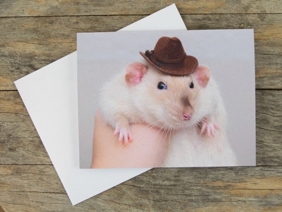 Funny Rat Greeting Card howdy -  Canada