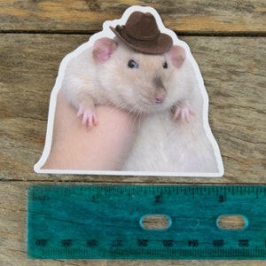 May include: A white rat wearing a brown cowboy hat. The rat is sitting on a person's hand.
