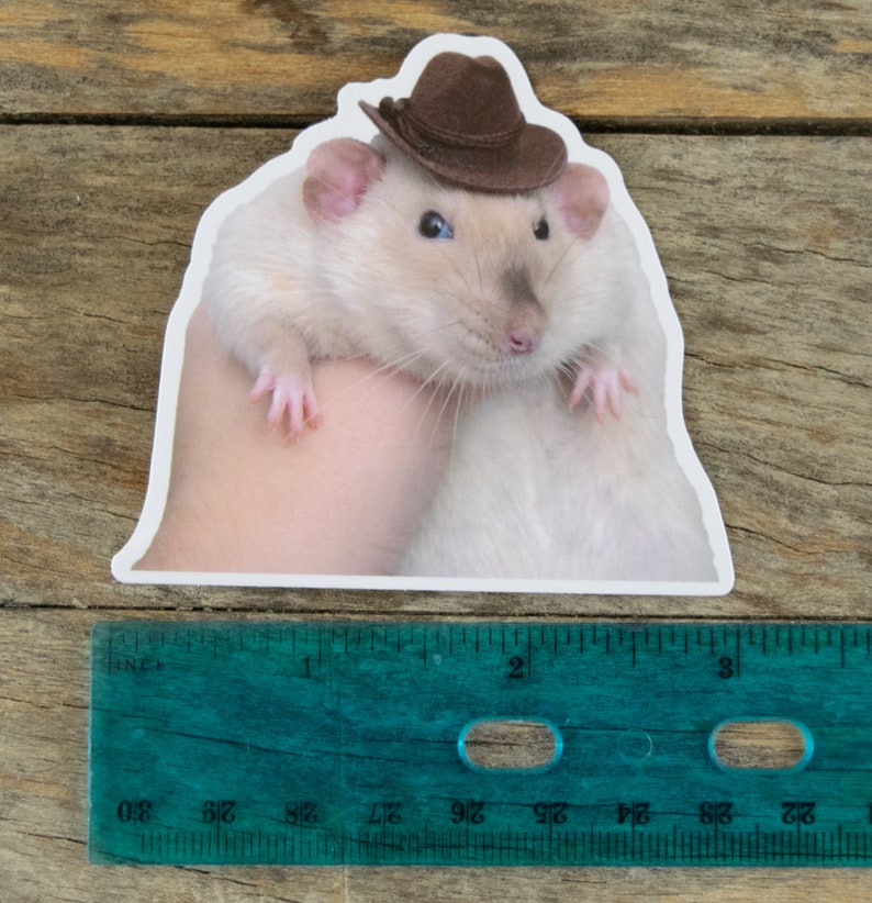 May include: A white rat wearing a brown cowboy hat. The rat is sitting on a person's hand.