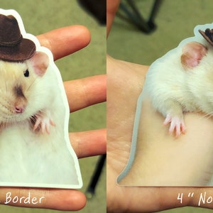 May include: A 4-inch white rat wearing a brown cowboy hat. The rat is sitting on a hand. The sticker has a white border.