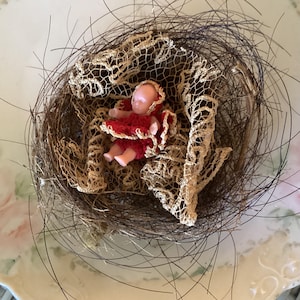 Real Birds Nest Found in my Horse Pasture, with a 1930’s Tiny Rubber Doll in Crocheted Outfit and Victorian Lace for Cover,  So Adorable!