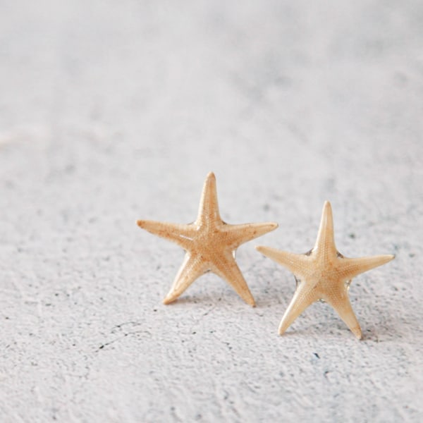 real starfish small stud earrings - beach seashell starfish mermaid jewelry - preserved starfish covered with crystal resin - gift for her
