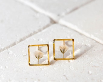 real flower baby's breath clear resin minimalist square stud earrings - gold stainless steel pressed terrarium botanical geometric jewelry