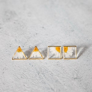 real flower daisy clear square triangle resin minimalist stud earrings - gold stainless steel pressed terrarium botanical geometric jewelry