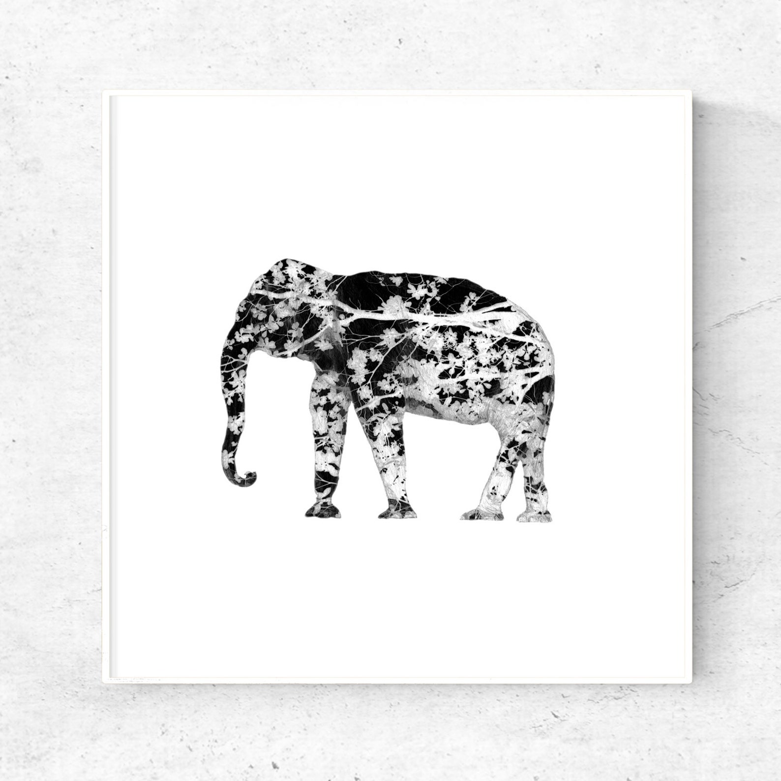 Elephant Print Black and White Art Prints Download 5x5 Art Etsy